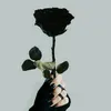 asmer_h.r
