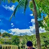 dmgarcia30