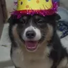 _csax