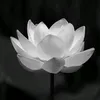 17508490558loan