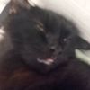 yyyyyyyyyyyssssdd