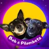 bobpilombeta
