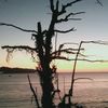 kholee_07