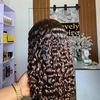 hairstylistventilator_