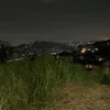 shark0k