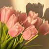 amaifiori21