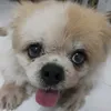 kimnhuletuan