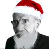 psevdo_rim