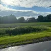 jameyxd22