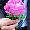 user8041399084512