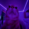 cometa_xz