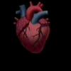 abdulghani.rida