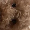 hdnhbg