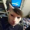 peerapat_zx_12