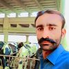 shaid33623