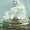 nhu19952