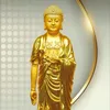 dothithuthao95