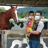 ijheklate007