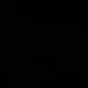 ermin_471