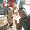 badaumarcos
