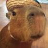 heisenbergs_capybara