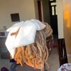 wanguiwainaina