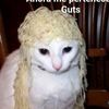 catsoup1.com
