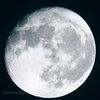 martin_141582