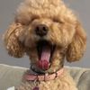hi_its_lola