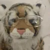 .rtapzx_