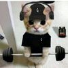 charbel_lifts
