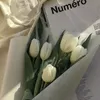 ntnam_08