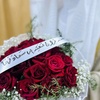 majed_5355