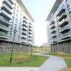 paradaise36