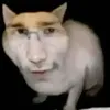 dmouz6