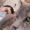 lcastagno