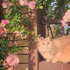 __khadija_safi__