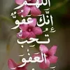 user3808029084965