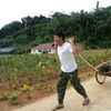 vilavong.bsv