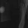 digilaus