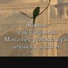 fatima_mammadzada