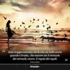 user358199564