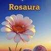 rosaura0226