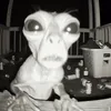 andradnraa
