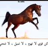 user77asel