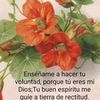 rocio12357
