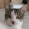 joelsonmendonca