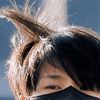 yangjenojenoaja