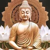 Tịnh Tâm