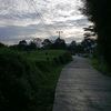 rinixanggraeni